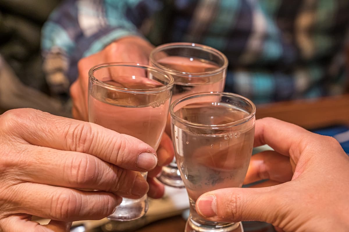 函馆大门横丁夜游：居酒屋美食之旅 - Image 2