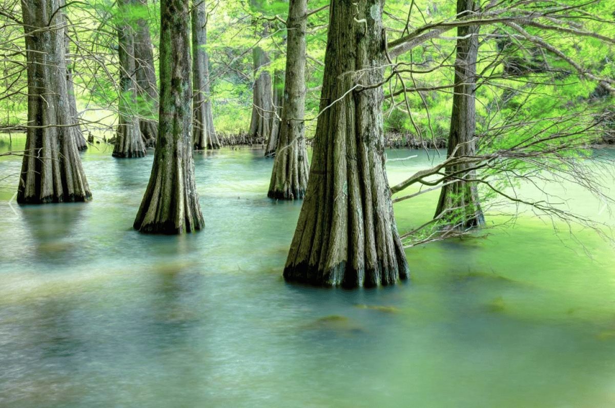 【福冈・篠栗】私人定制网红天空景观森林咖啡巡游 - Image 4