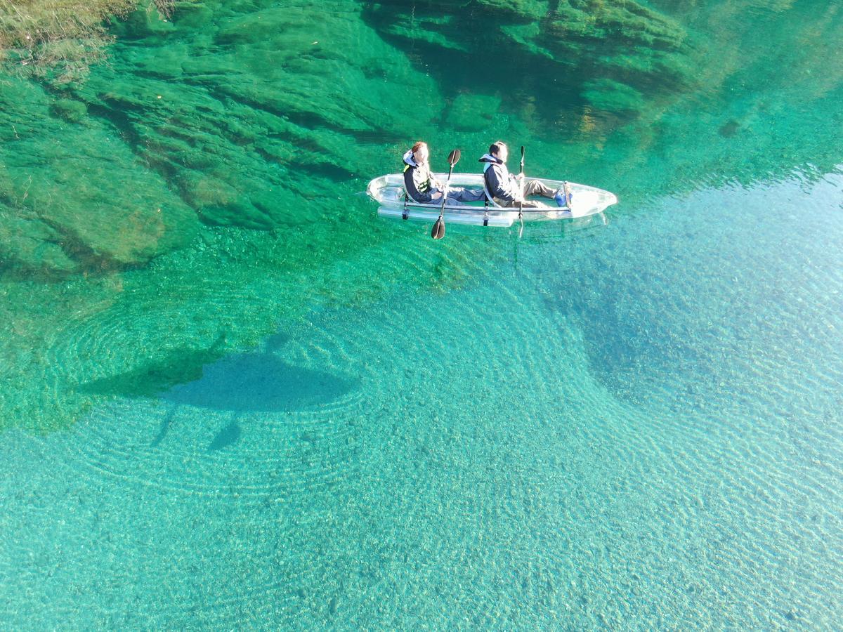Crystal Kayak Experience on the Niyodo River – Paddle Through Japan's Clearest Water in Kochi - Image 12