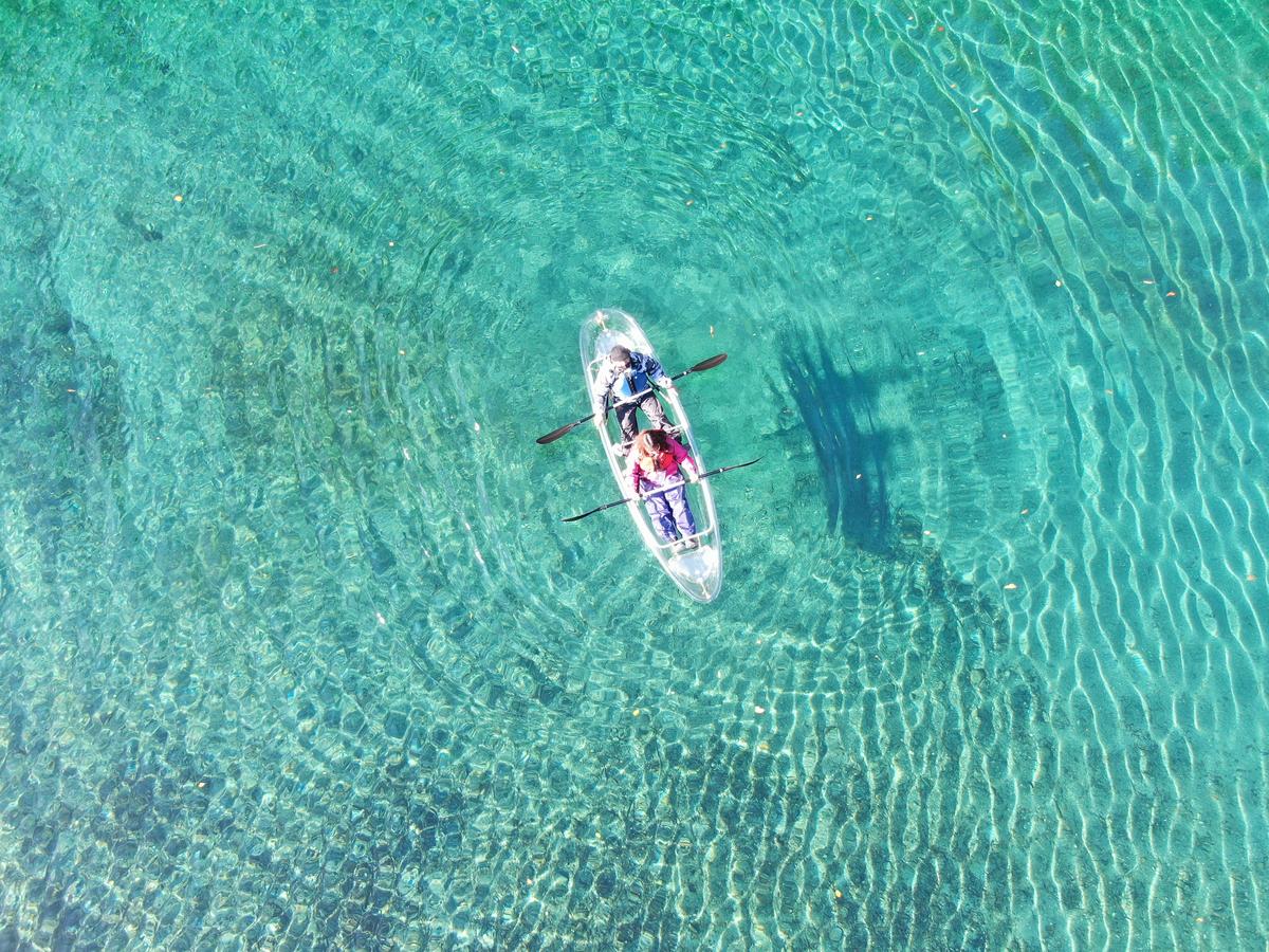 Crystal Kayak Experience on the Niyodo River – Paddle Through Japan's Clearest Water in Kochi - Image 9