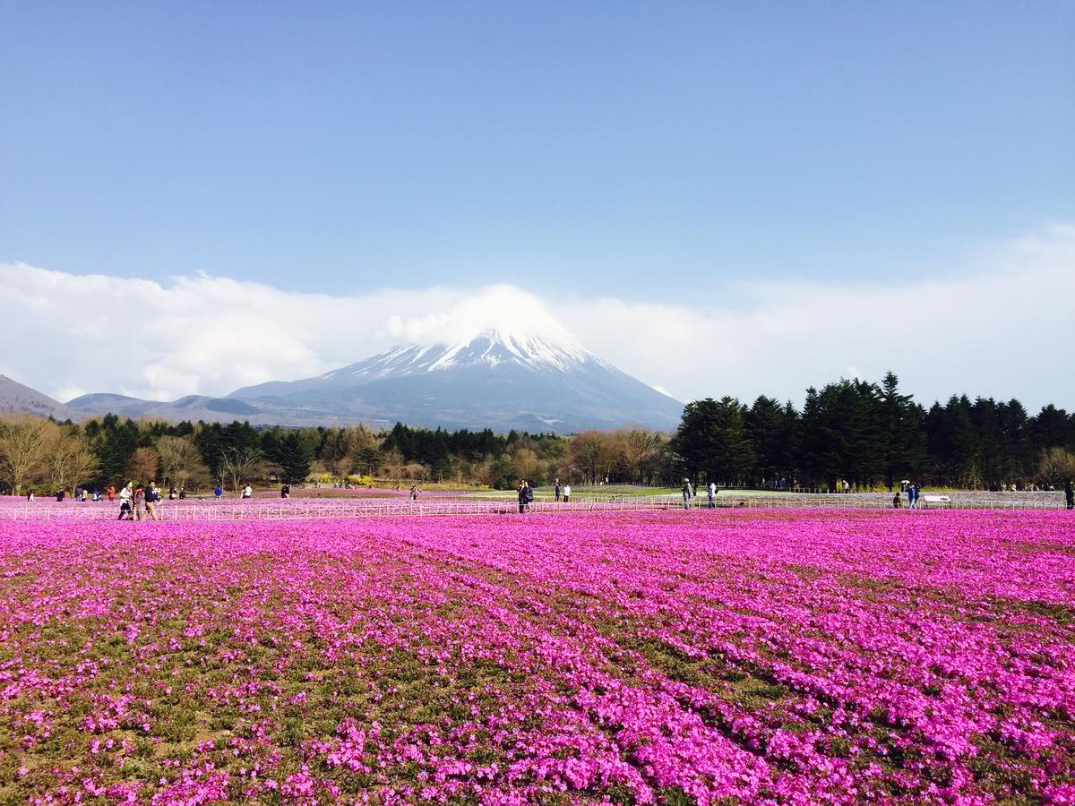 静冈市/大井川 1 小时私人摄影 - Image 2