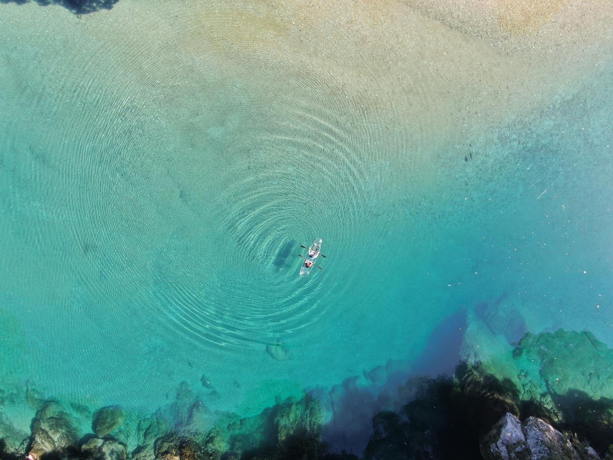 Crystal Kayak Experience on the Niyodo River – Paddle Through Japan's Clearest Water in Kochi - Image 19