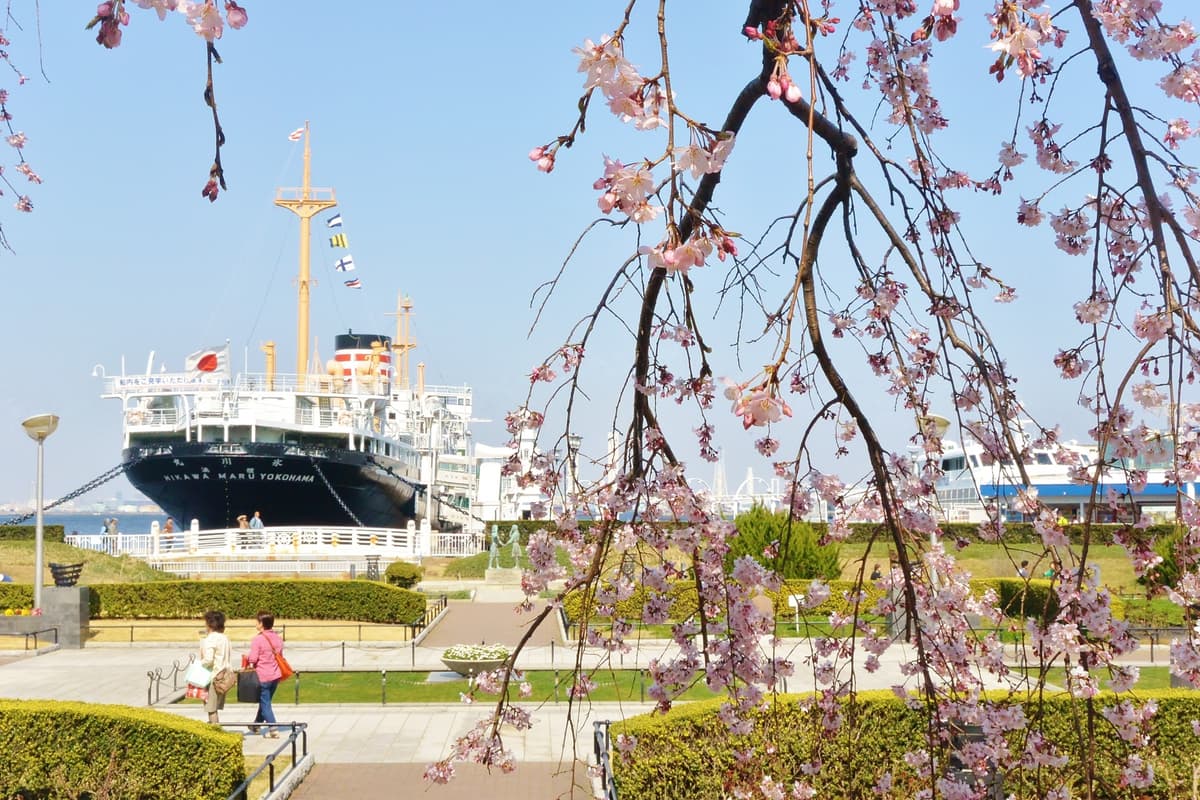 横滨中华街/元町/山下公园 1 小时私人摄影 - Image 3