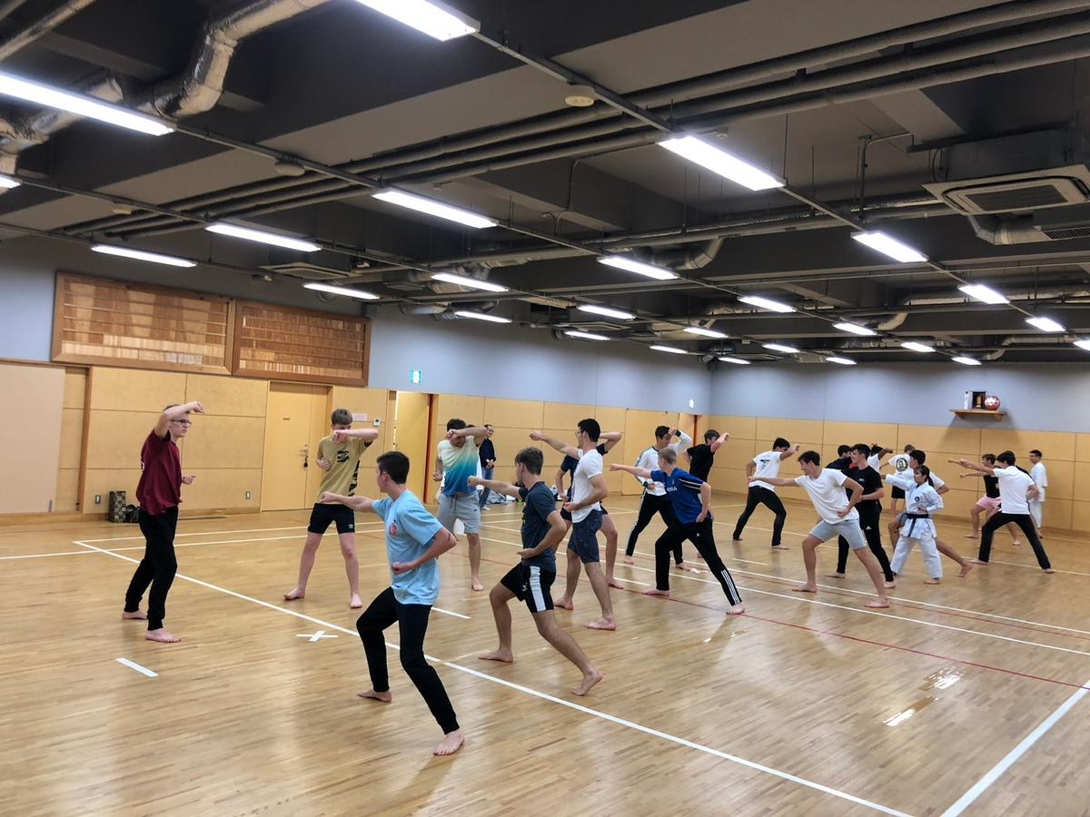 Authentic Karate Experience in Akasaka with Expert Instructors - Image 3