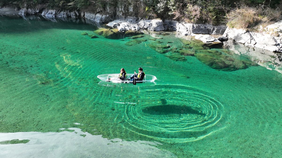 Crystal Kayak Experience on the Niyodo River – Paddle Through Japan's Clearest Water in Kochi - Image 7