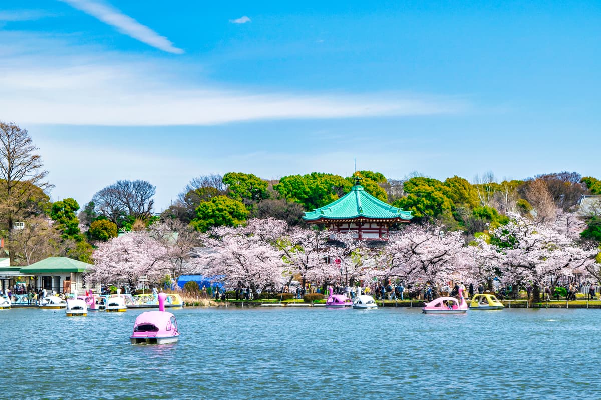 上野1小时私人摄影服务 - Image 5