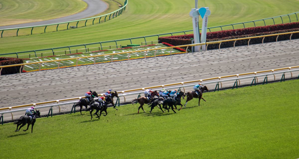 与导游一起的日本赛马之旅 - Image 2
