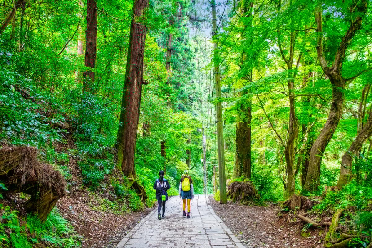 东京高尾山徒步 & 温泉之旅 - Image 3