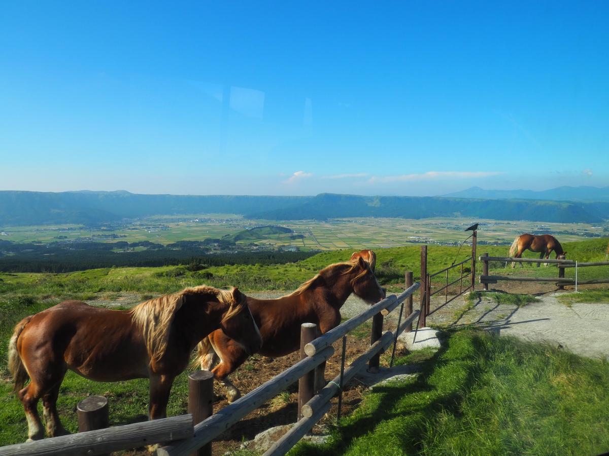 熊本1小时私人摄影 - Image 2