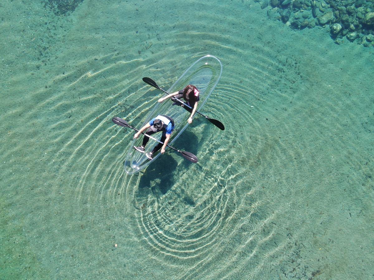 Crystal Kayak Experience on the Niyodo River – Paddle Through Japan's Clearest Water in Kochi - Image 15