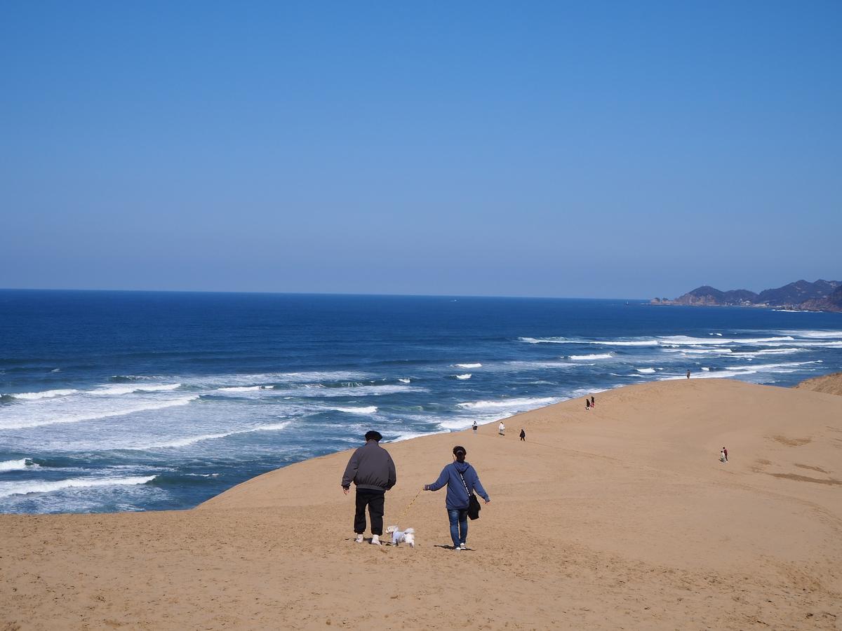 鸟取1小时私人摄影体验 - Image 2