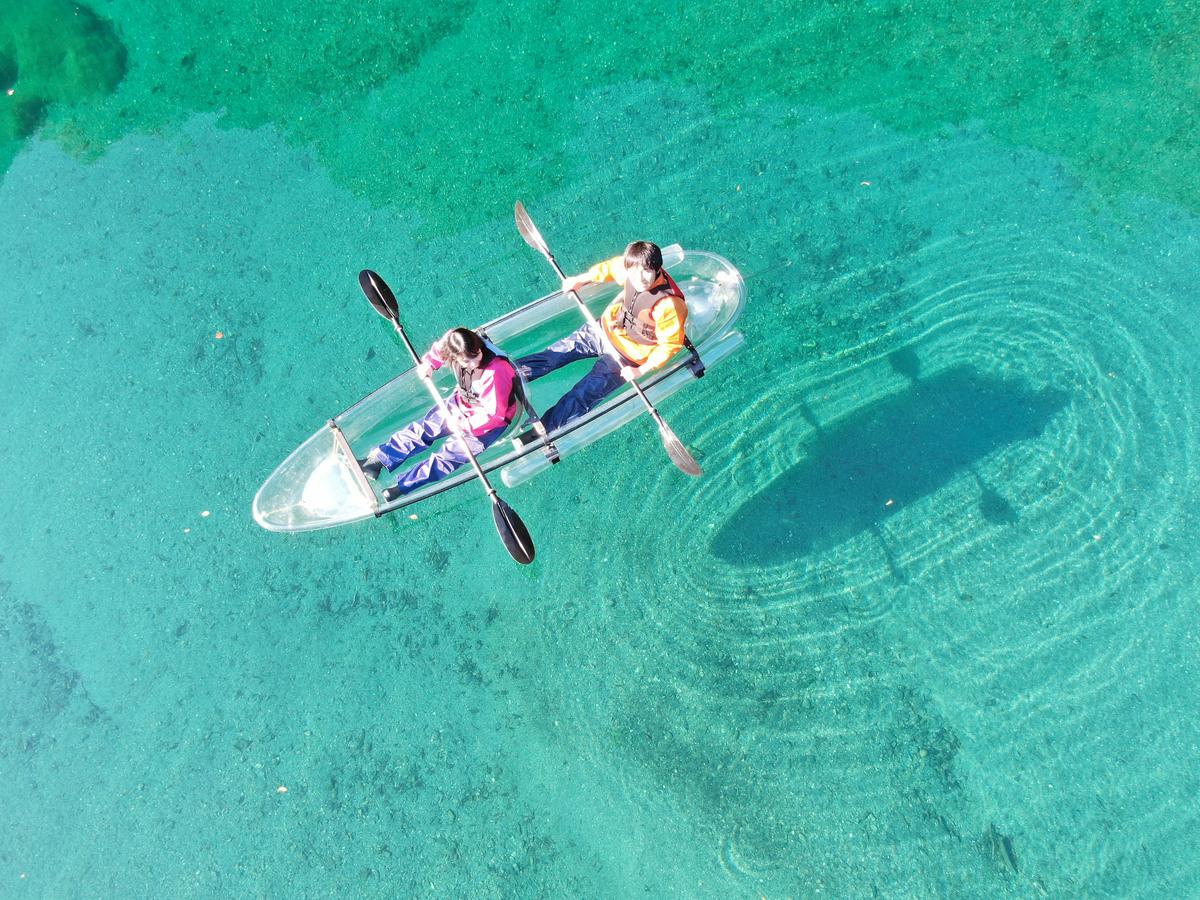 Crystal Kayak Experience on the Niyodo River – Paddle Through Japan's Clearest Water in Kochi - Image 2