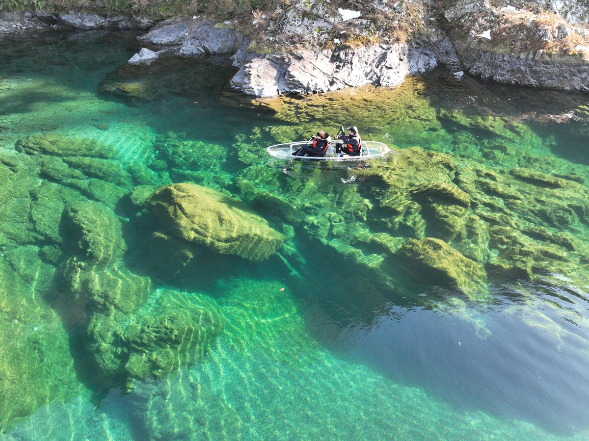 Crystal Kayak Experience on the Niyodo River – Paddle Through Japan's Clearest Water in Kochi - Image 20