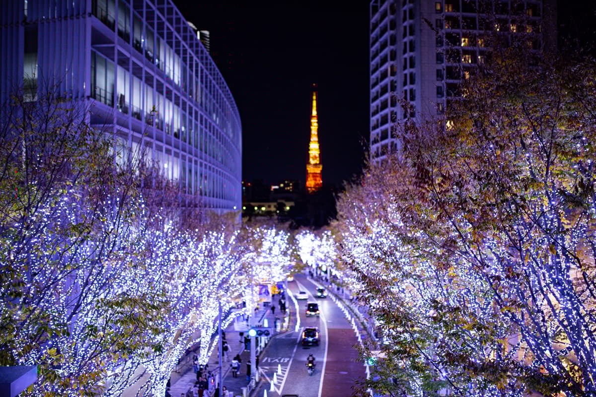 东京惠比寿花园广场 1 小时私人摄影 - Image 3