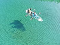 Crystal Kayak Experience on the Niyodo River – Paddle Through Japan's Clearest Water in Kochi - Thumbnail 13