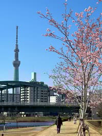 东京晴空塔区 1 小时私人摄影 - Thumbnail 2