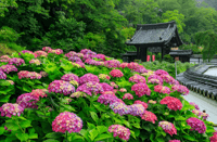 镰仓私人徒步之旅：禅寺与北镰仓自然风光 - Thumbnail 7