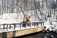 二世谷1小时私人摄影 - Thumbnail 6