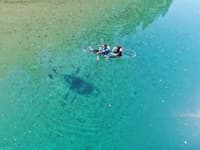 Crystal Kayak Experience on the Niyodo River – Paddle Through Japan's Clearest Water in Kochi - Thumbnail 17