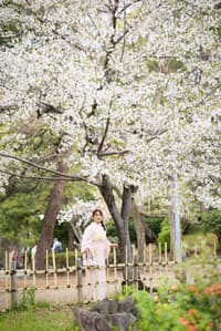 与专业摄影师在名古屋进行私人写真公路之旅 - Thumbnail 9