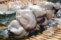 广岛市、宫岛、吴市夜间特色居酒屋之旅 - Thumbnail 7