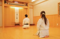 Authentic Karate Experience in Akasaka with Expert Instructors - Thumbnail 10