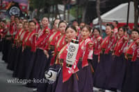 2026高知夜來祭 8月11、12日夜間觀覽席票券 - Thumbnail 7
