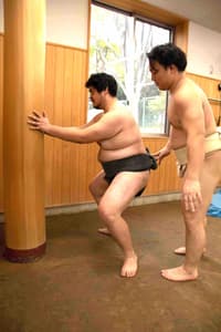 東京正宗相撲訓練體驗：由冠軍教練 Takeshi Amitani 親自指導 - Thumbnail 4