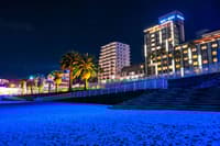 热海温泉区居酒屋夜游之旅 - Thumbnail 6