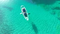 Crystal Kayak Experience on the Niyodo River – Paddle Through Japan's Clearest Water in Kochi - Thumbnail 3