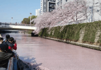 东京目黑川赏樱游船之旅 - Thumbnail 3