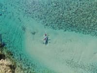 Crystal Kayak Experience on the Niyodo River – Paddle Through Japan's Clearest Water in Kochi - Thumbnail 14