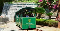 Shochu Brewery Tour in a Gold Mine – Ride the Trolley into a Historic Underground Cave in Kagoshima - Thumbnail 5