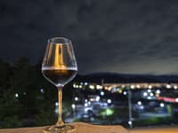 神奈川县居酒屋夜游之旅 - Thumbnail 5