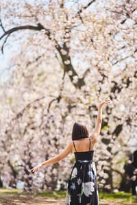 1 Hour Private Photo Shoot in Tokyo (Bespoke Photography Tailored to Your Unique Story) - Thumbnail 7