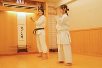 Authentic Karate Experience in Akasaka with Expert Instructors - Thumbnail 11