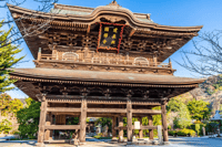 镰仓私人徒步之旅：禅寺与北镰仓自然风光 - Thumbnail 5