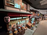 柴又漫步之旅：与当地导游探索怀旧昭和东京 - Thumbnail 5