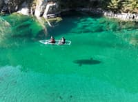 Crystal Kayak Experience on the Niyodo River – Paddle Through Japan's Clearest Water in Kochi - Thumbnail 5