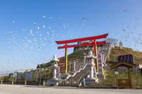 Descubre el Hachinohe más secreto con una fotógrafa local: mercado matutino de Tatehana Wharf y paseo costero - Thumbnail 18