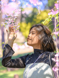 Foto Pribadi 1 Jam di Tokyo - Bunga Sakura Meguro - Thumbnail 3