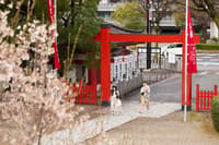与专业摄影师在名古屋进行私人写真公路之旅 - Thumbnail 2