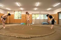 東京正宗相撲訓練體驗：由冠軍教練 Takeshi Amitani 親自指導 - Thumbnail 13