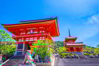 与当地导游的个性化京都之旅 - Thumbnail 1