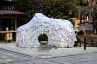 与当地导游的祗园夜间步行之旅 - Thumbnail 2