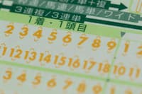 与导游一起的日本赛马之旅 - Thumbnail 3