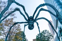 六本木1小时私人摄影体验 - Thumbnail 3