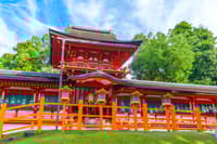 奈良东大寺导览徒步游 - Thumbnail 6