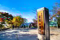 东京高尾山徒步 & 温泉之旅 - Thumbnail 1