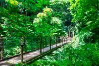 东京高尾山徒步 & 温泉之旅 - Thumbnail 4